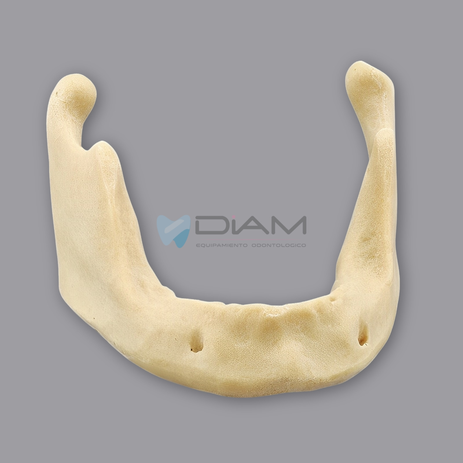 ODO-1504-1.webp