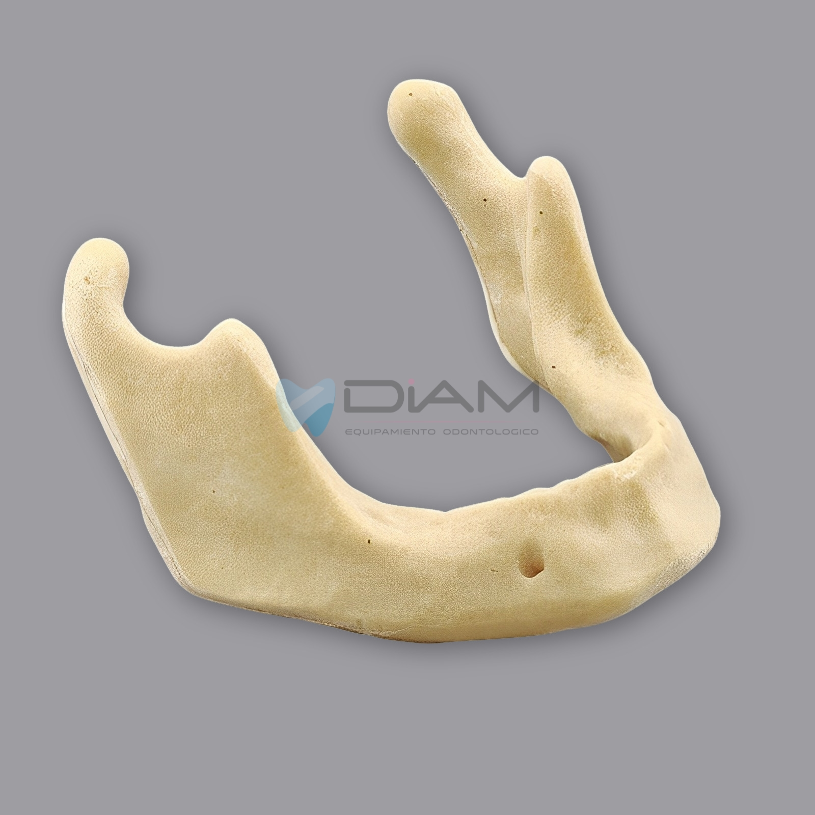 ODO-1504-2.webp