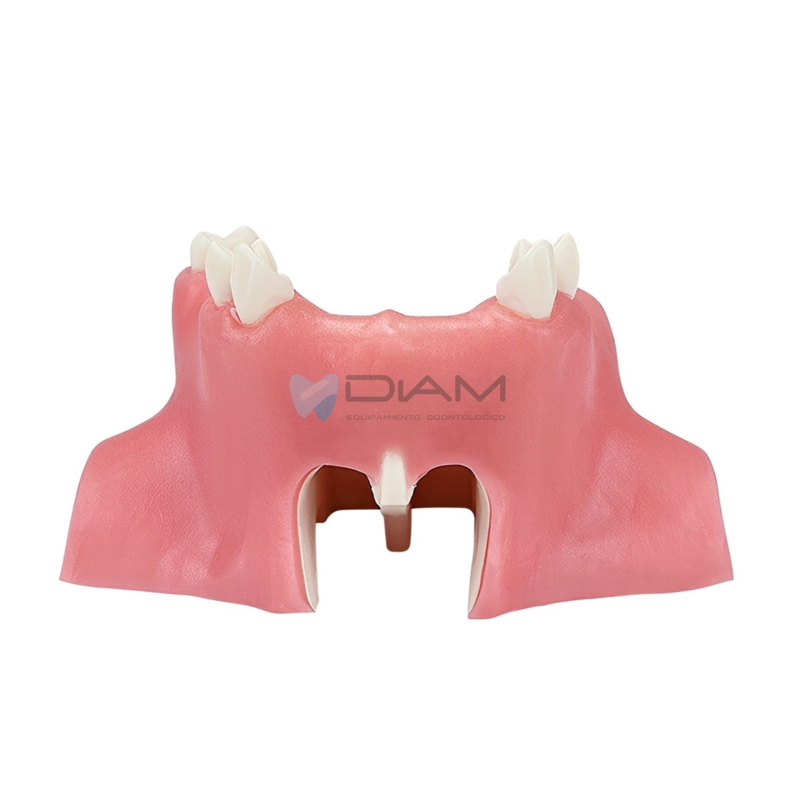 ODO-1505-1.webp
