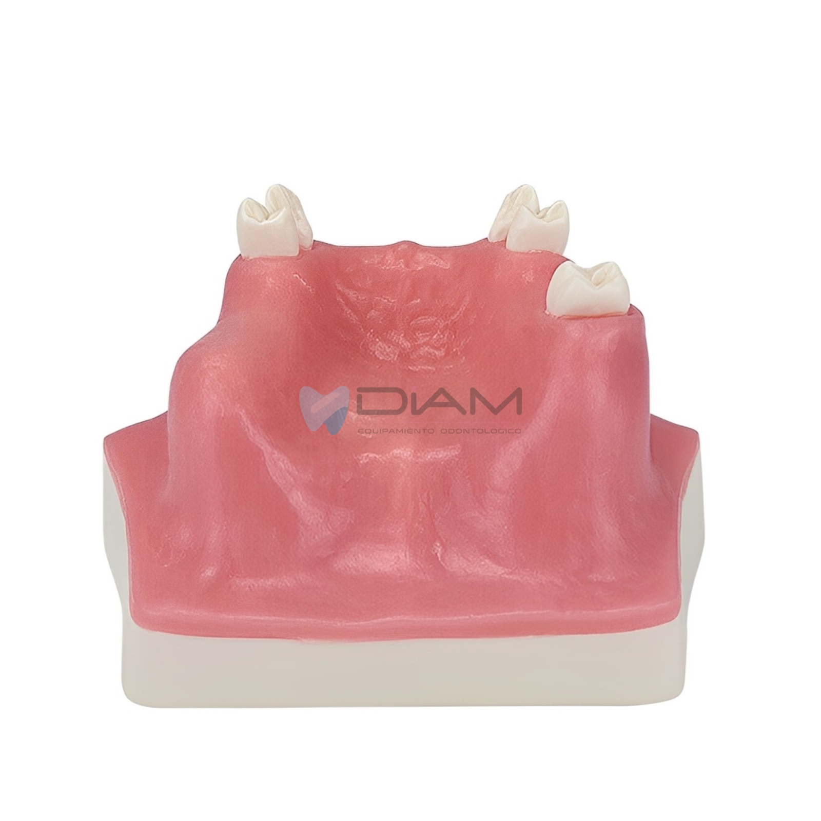 ODO-1505-2.webp