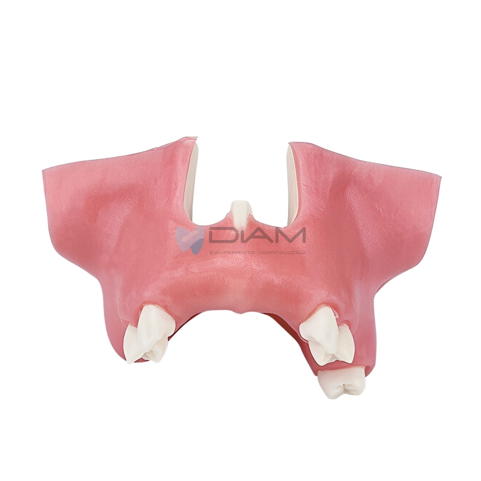 ODO-1505-3.webp