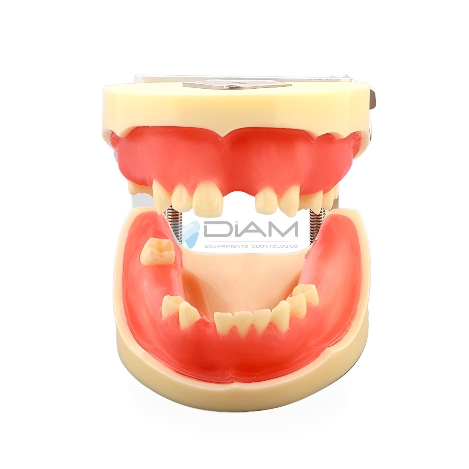 ODO-1506-1.webp