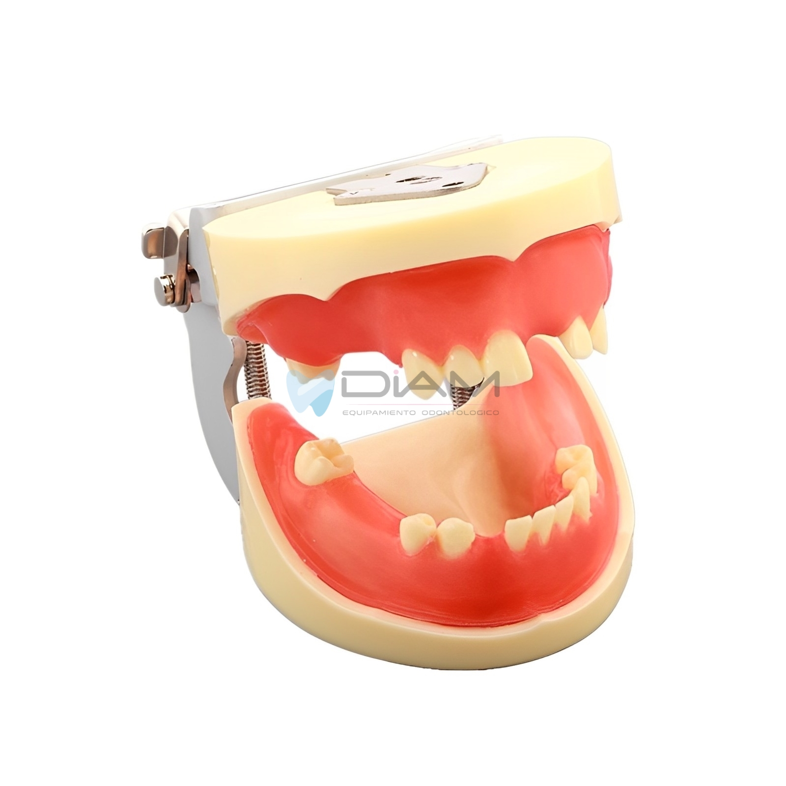 ODO-1506-2.webp