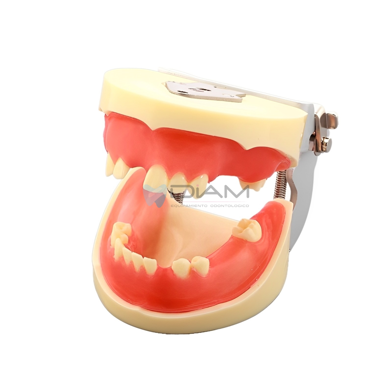 ODO-1506-3.webp