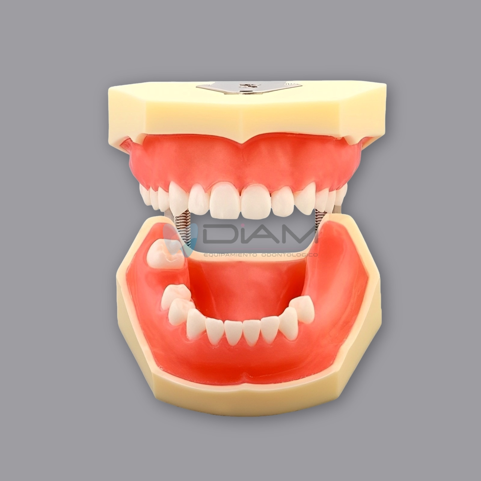 ODO-1545-1.webp