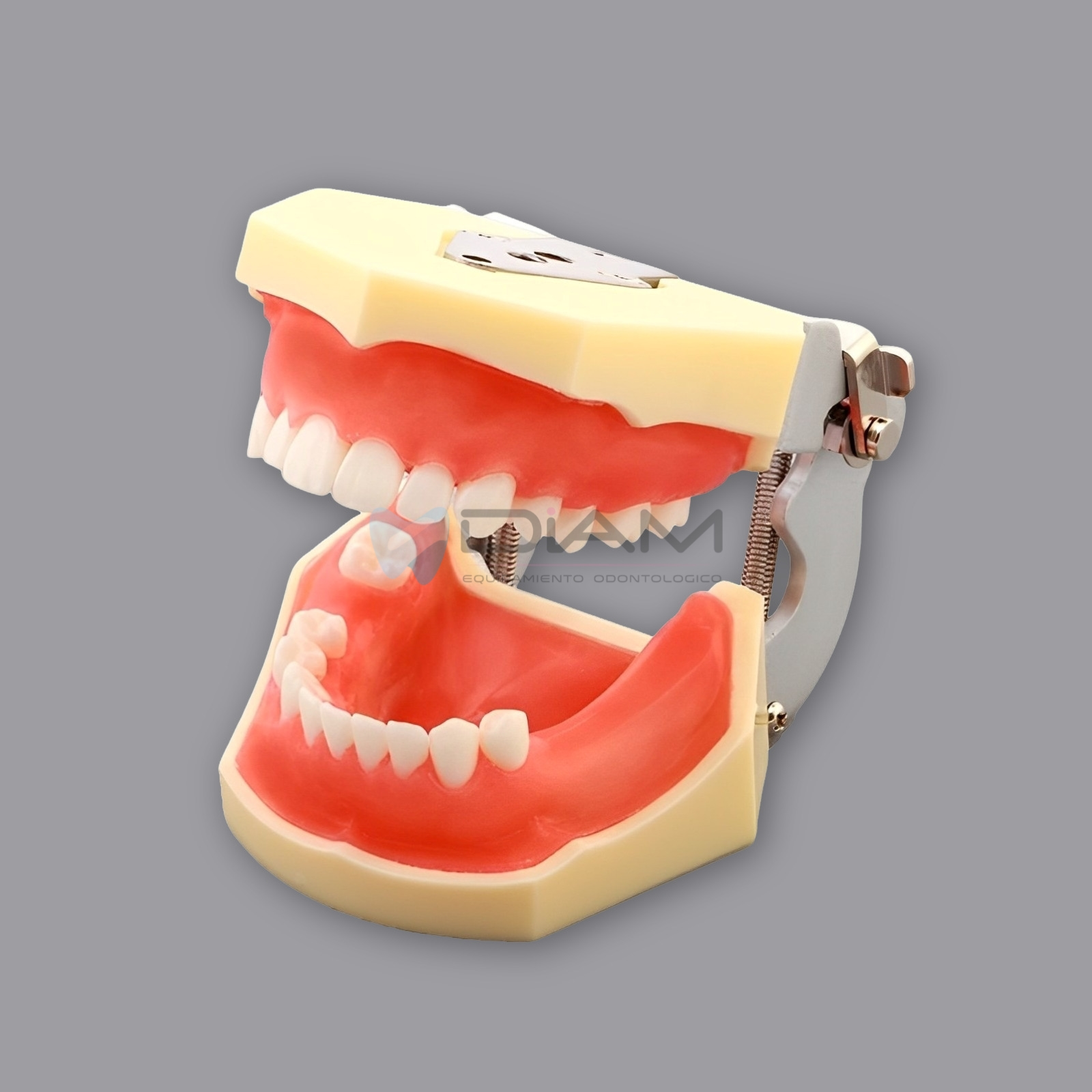 ODO-1545-2.webp